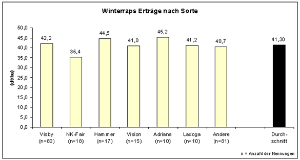 Winterraps