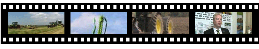 Filmstreifen