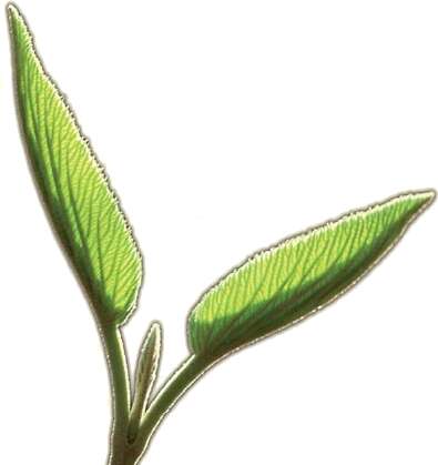 �hre