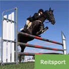 Reitsport.jpg