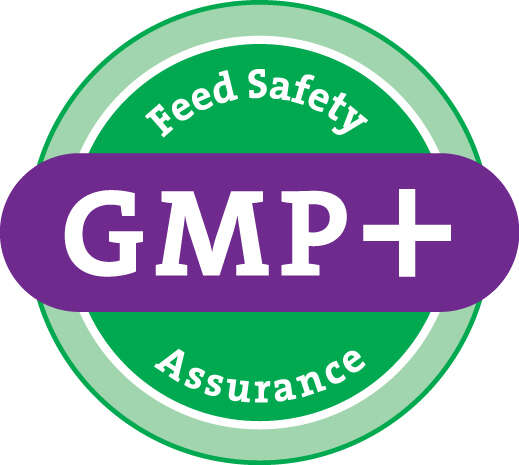 Logo_GMP_FSA_purple.jpg