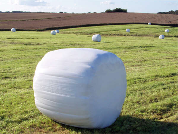 StrBallen.jpg