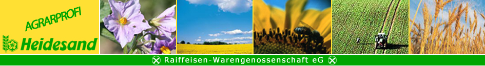 header.jpg