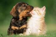 Fotolia_6677832_XS__Fotolia_VI.jpg Fotolia_6677832_XS__Fotolia_VI.jpg