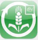 dlv