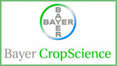 Bayer
