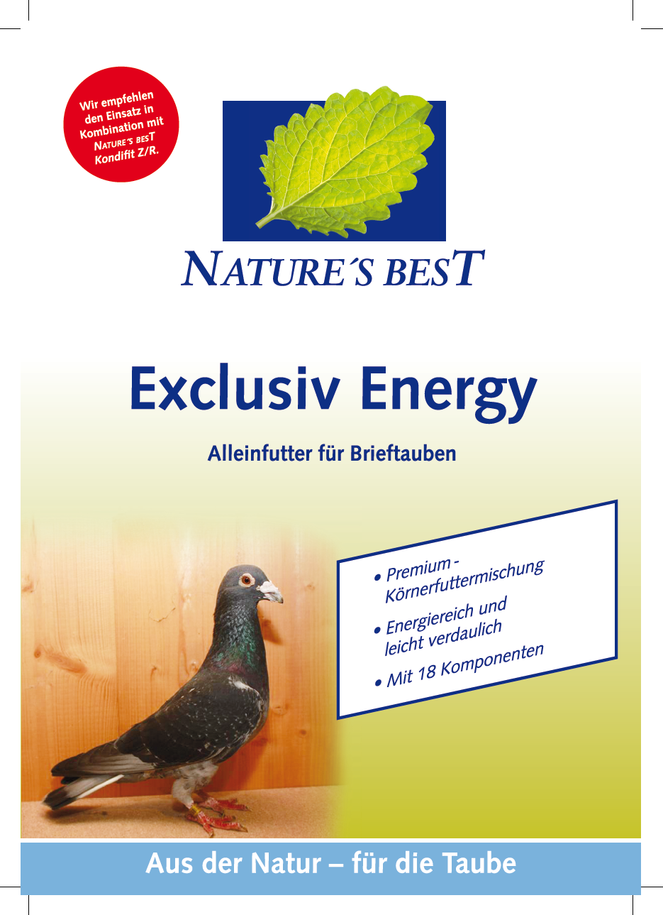 Exclusiv_Energy.jpg..bmp