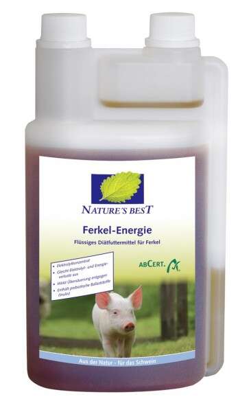 F_Energie.jpg