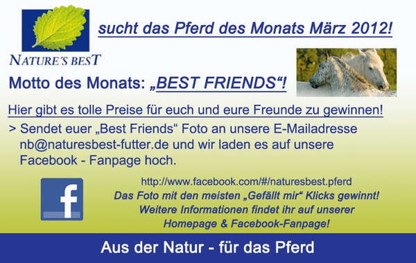 Flyer_Best-Friends.jpg