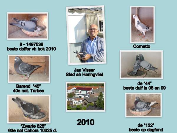 Jan_Visser_Collage.jpg