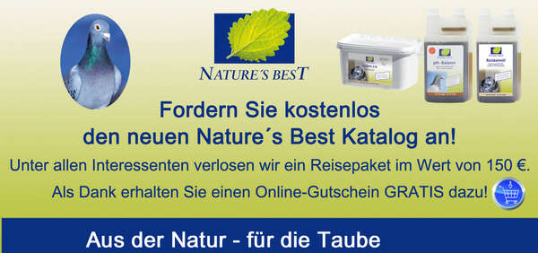 Katalog_Karte.jpg