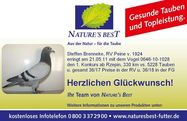 Taube_NB_1.jpg