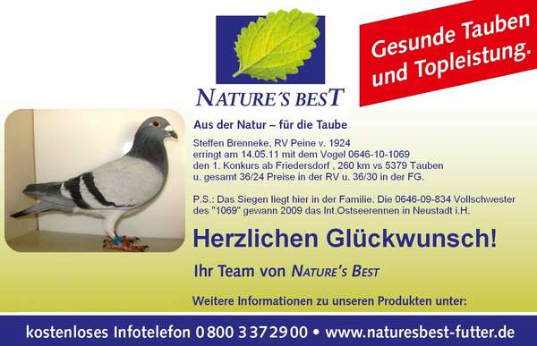 Taube_NB_2.jpg