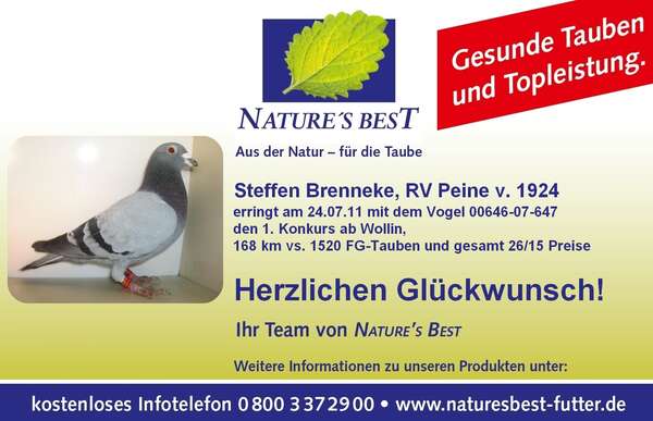Taube_Steffen_Brenneke.JPG