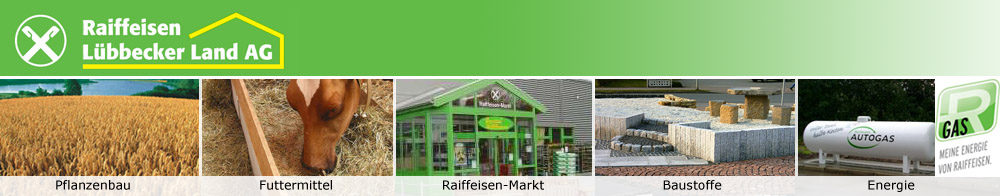 header.jpg
