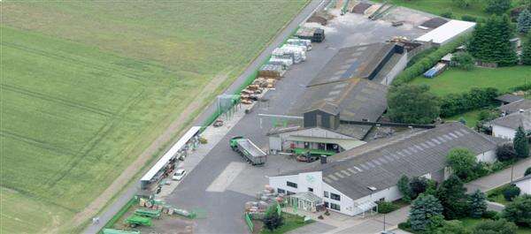 Lingerhahn