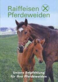 Pferdewiese.jpg