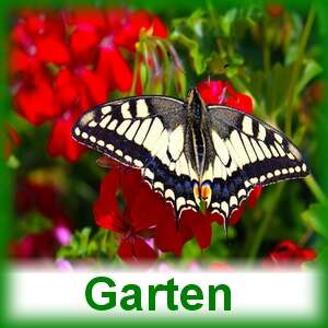 Gartenlogo.jpg