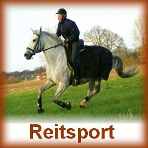 Reitsportlogo.jpg