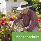 Pflanzenschutz.jpg Pflanzenschutz.jpg
