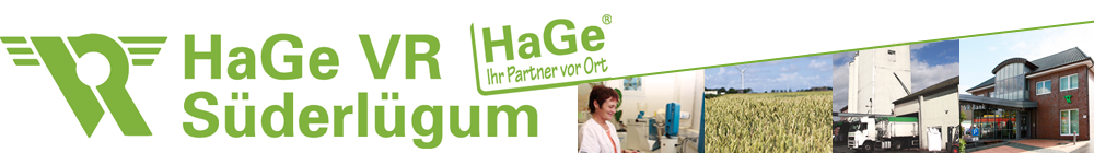 header.jpg