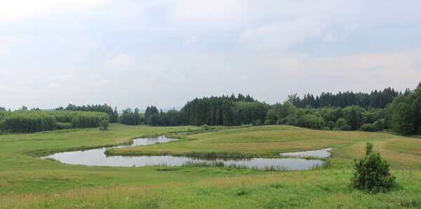Masurische_Landschaft__Wald,_Wasser,_Weiden