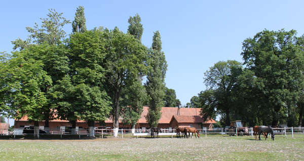 7.Innenhof_in_Liski.jpg