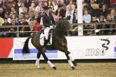 GlennGrant-MH08-04.JPG