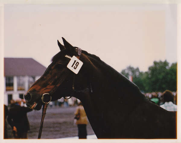 IMG-trake_0003.jpg