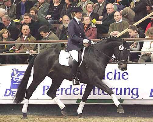 ballzauber07.jpg