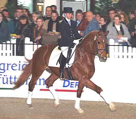 donaugold07.jpg