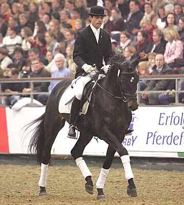 dorkas07.jpg