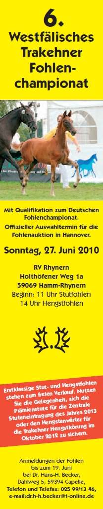 fohlenchampionat.jpg