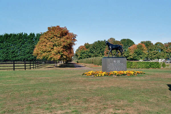 Blick auf einen kleinen Teil des Newmarket State Stud. Blick auf einen kleinen Teil des Newmarket State Stud.