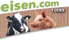 Tiere
