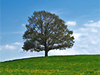 Landinserate.de