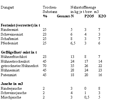 wirtduenger1
