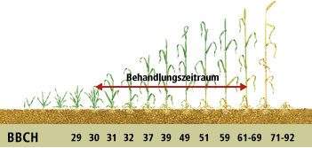 Raiffeisen.com